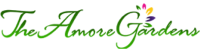 Amore logo
